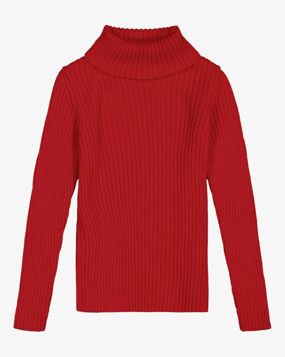 Ally Rollkragenpullover