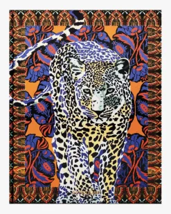 Arabian Leopard Buch