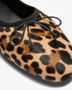 Cavallino Ballerinas