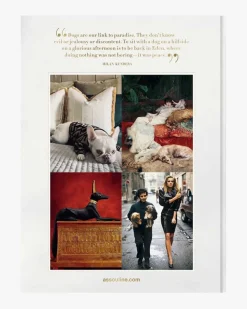 Chic Dogs Buch
