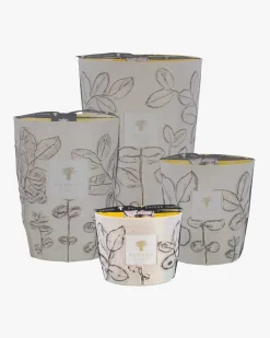 Folia Calanque Max 10 Duftkerze