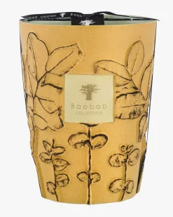 Folia Garrigue Max 24 Duftkerze