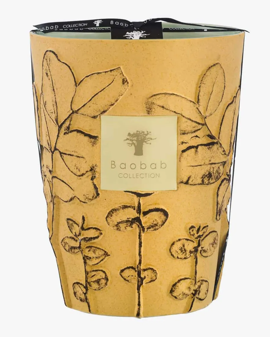 Folia Garrigue Max 24 Duftkerze