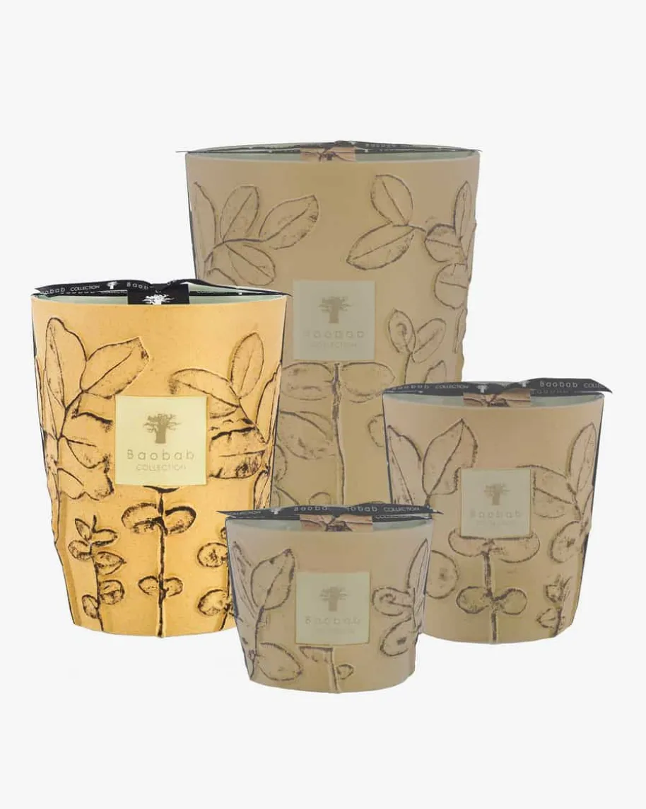 Folia Garrigue Max 24 Duftkerze