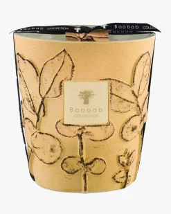 Folia Garrigue Max 16 Duftkerze