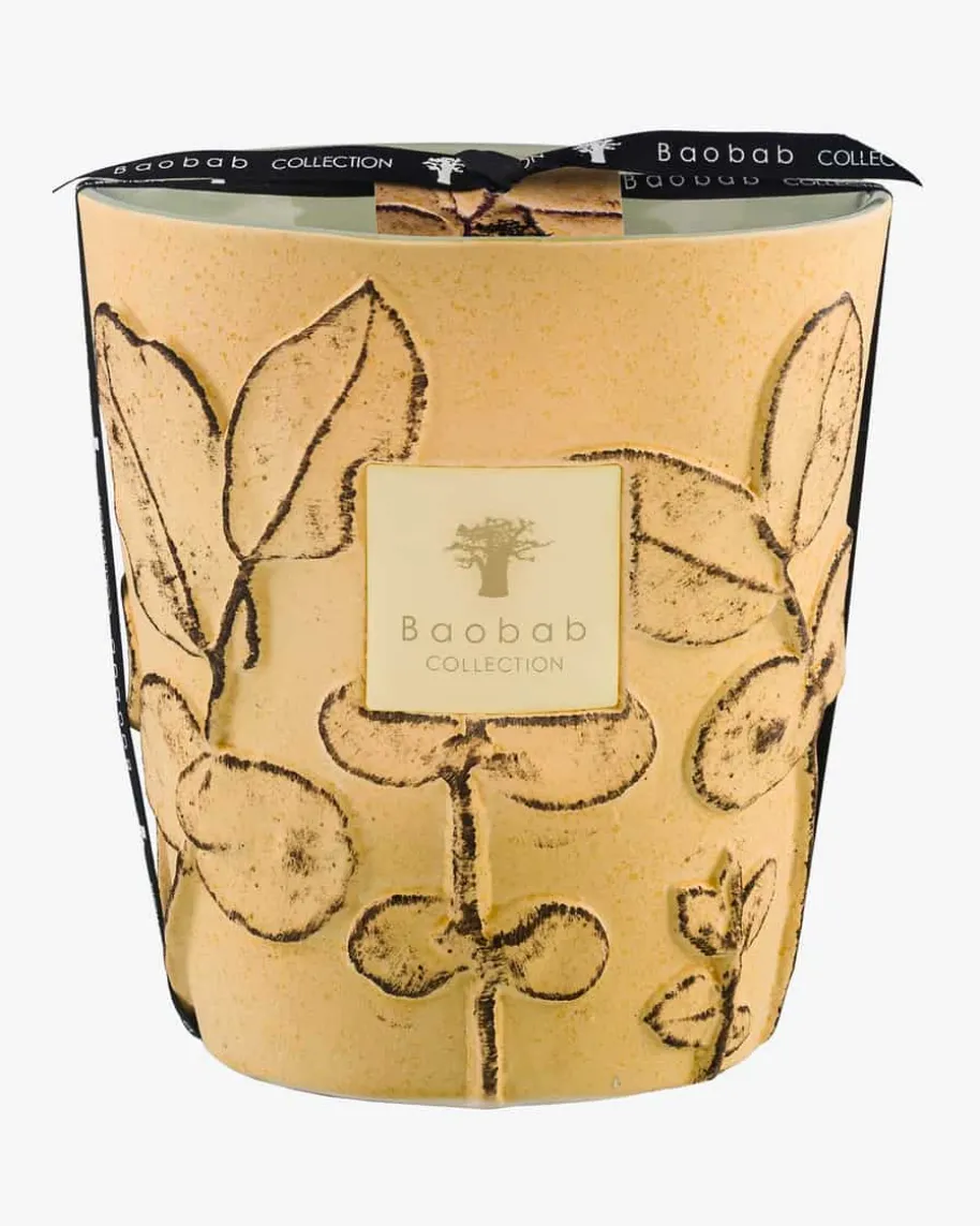 Folia Garrigue Max 16 Duftkerze