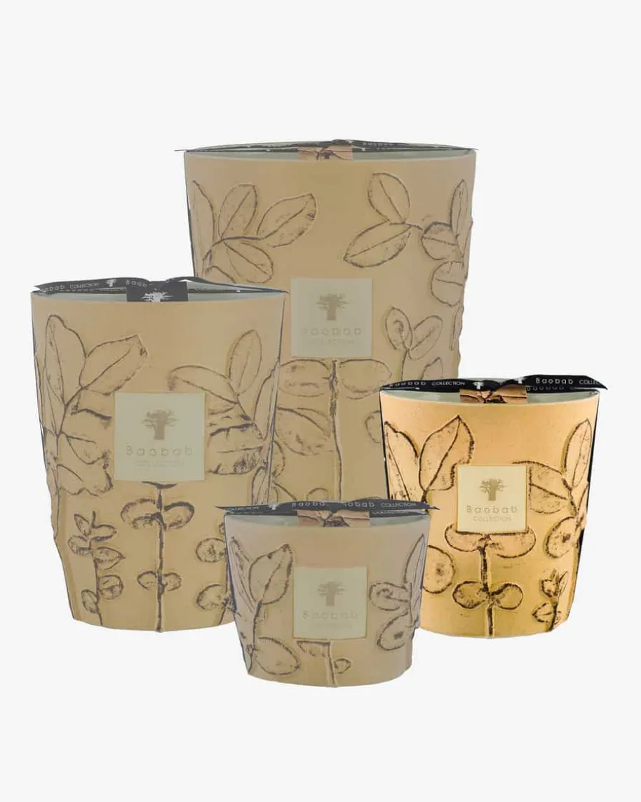 Folia Garrigue Max 16 Duftkerze