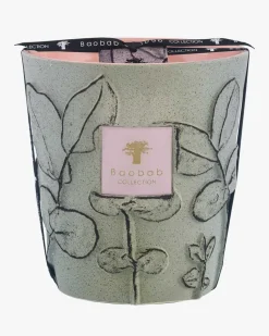 Folia Maquis Max 16 Duftkerze