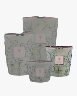 Folia Maquis Max 16 Duftkerze