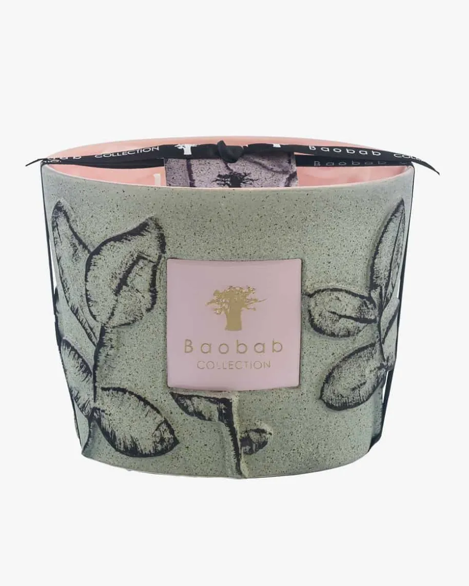 Folia Maquis Max 10 Duftkerze