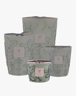 Folia Maquis Max 10 Duftkerze