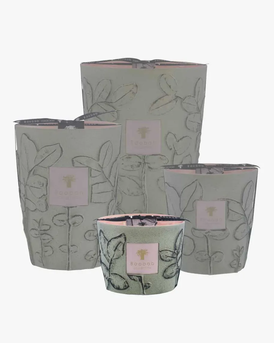 Folia Maquis Max 10 Duftkerze