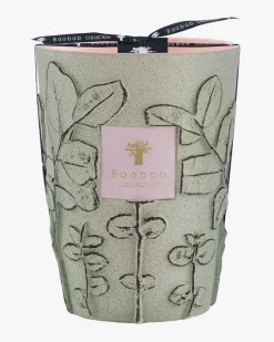 Folia Maquis Max 24 Duftkerze