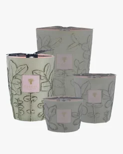 Folia Maquis Max 24 Duftkerze