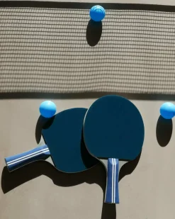 Ping Pong Table Tennis