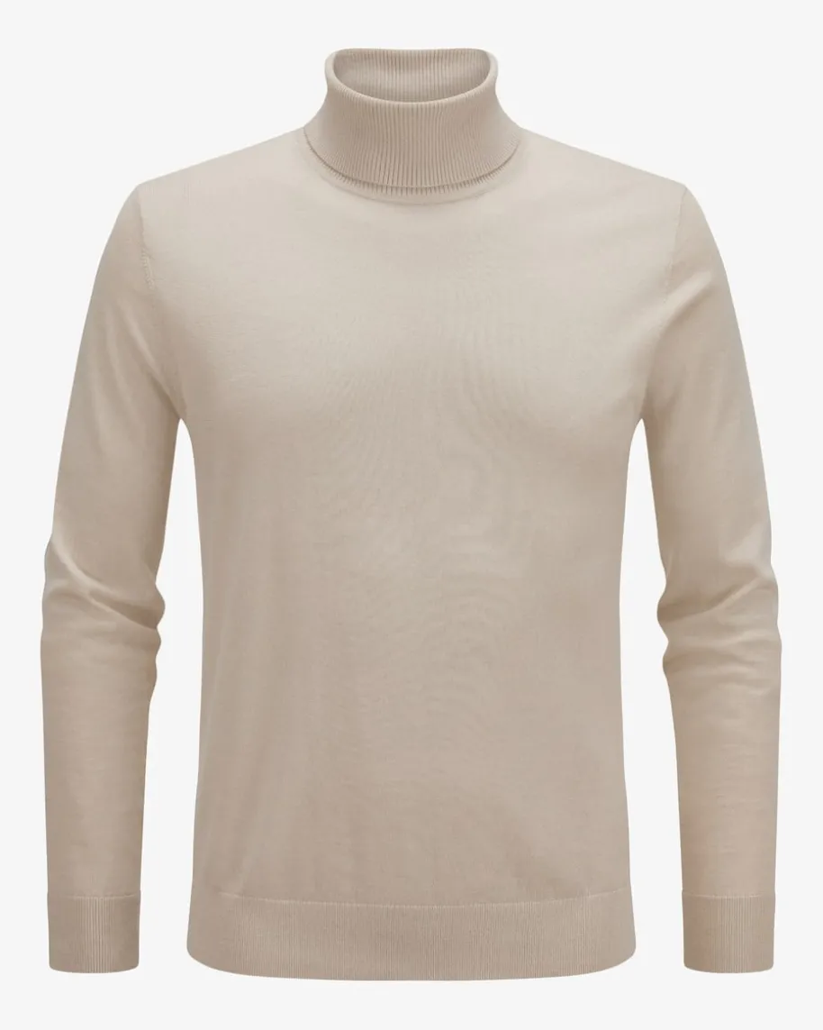 Rollkragenpullover aus Wolle und Cashmere