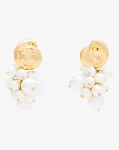 Shell Grape Ohrringe