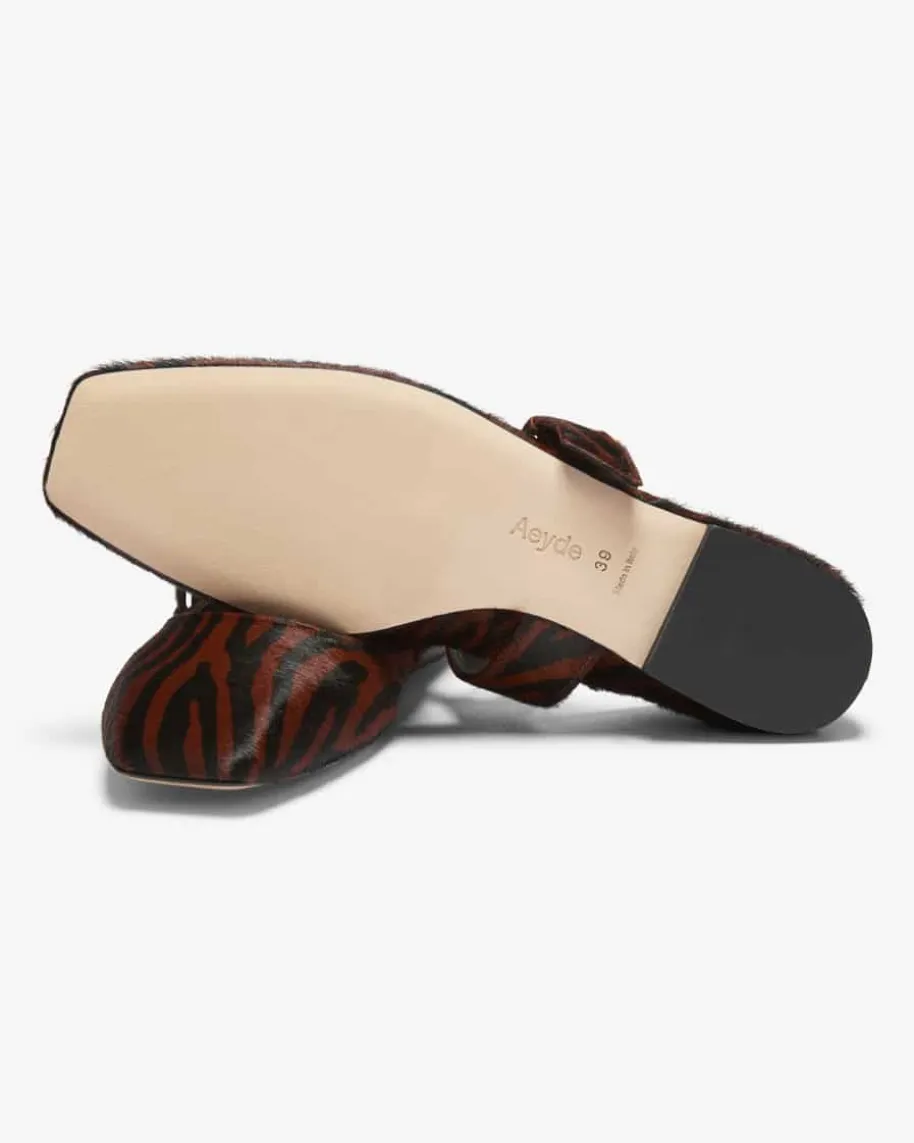 Uma Ballerinas