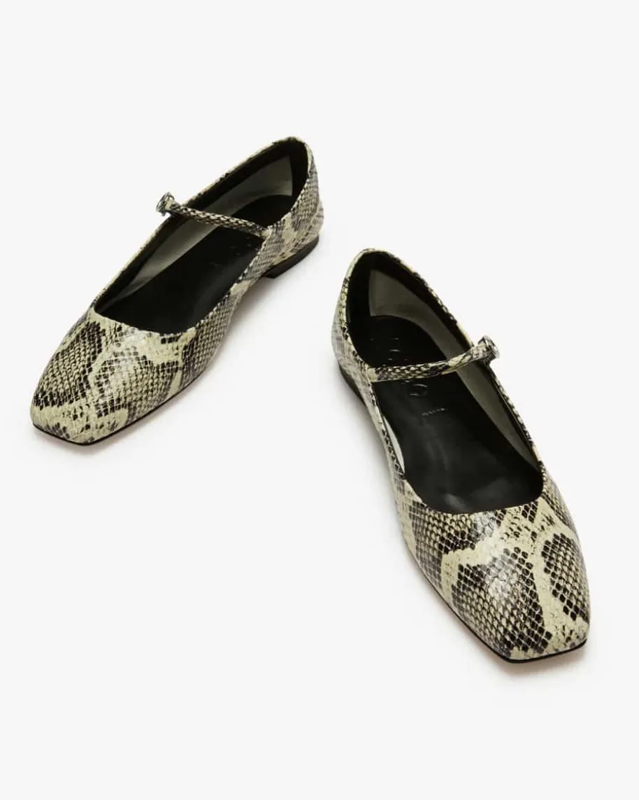Uma Ballerinas