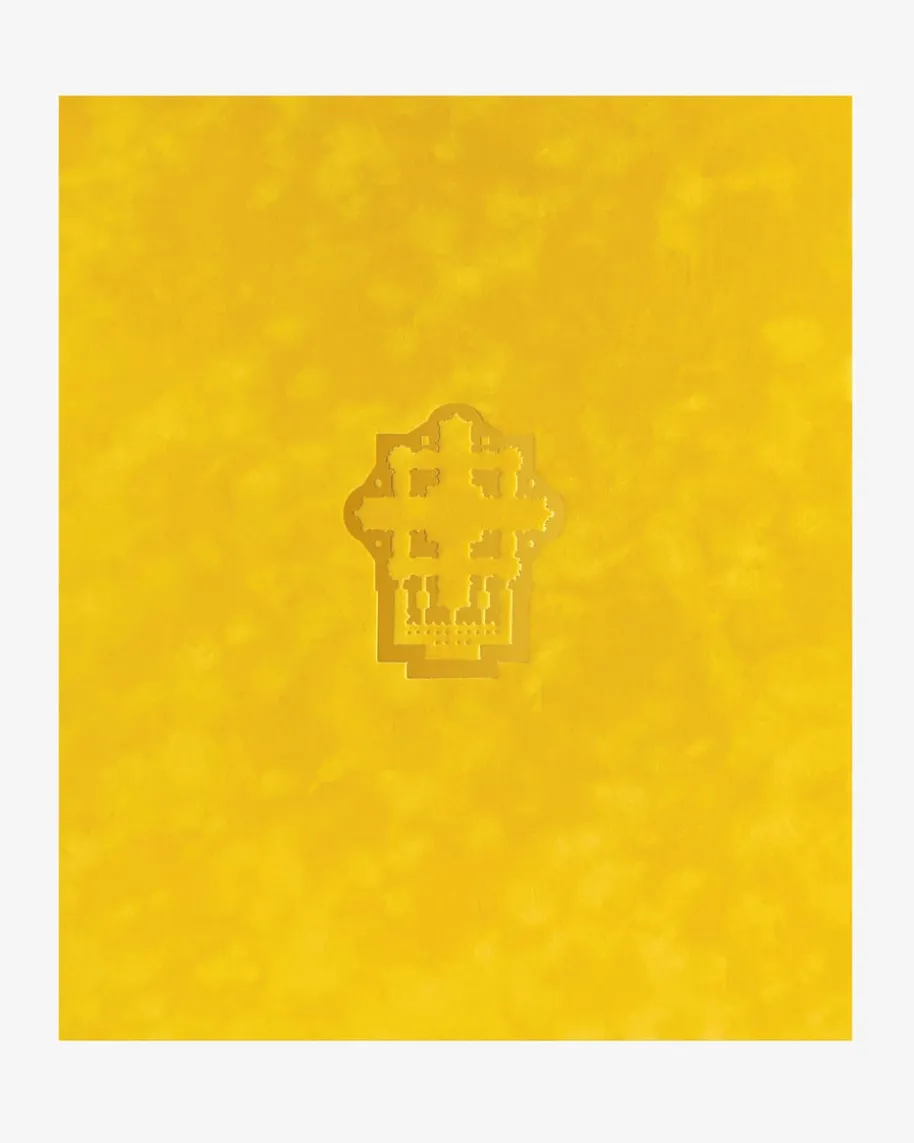 Vatican: A Private Visit to a Secret World Buch