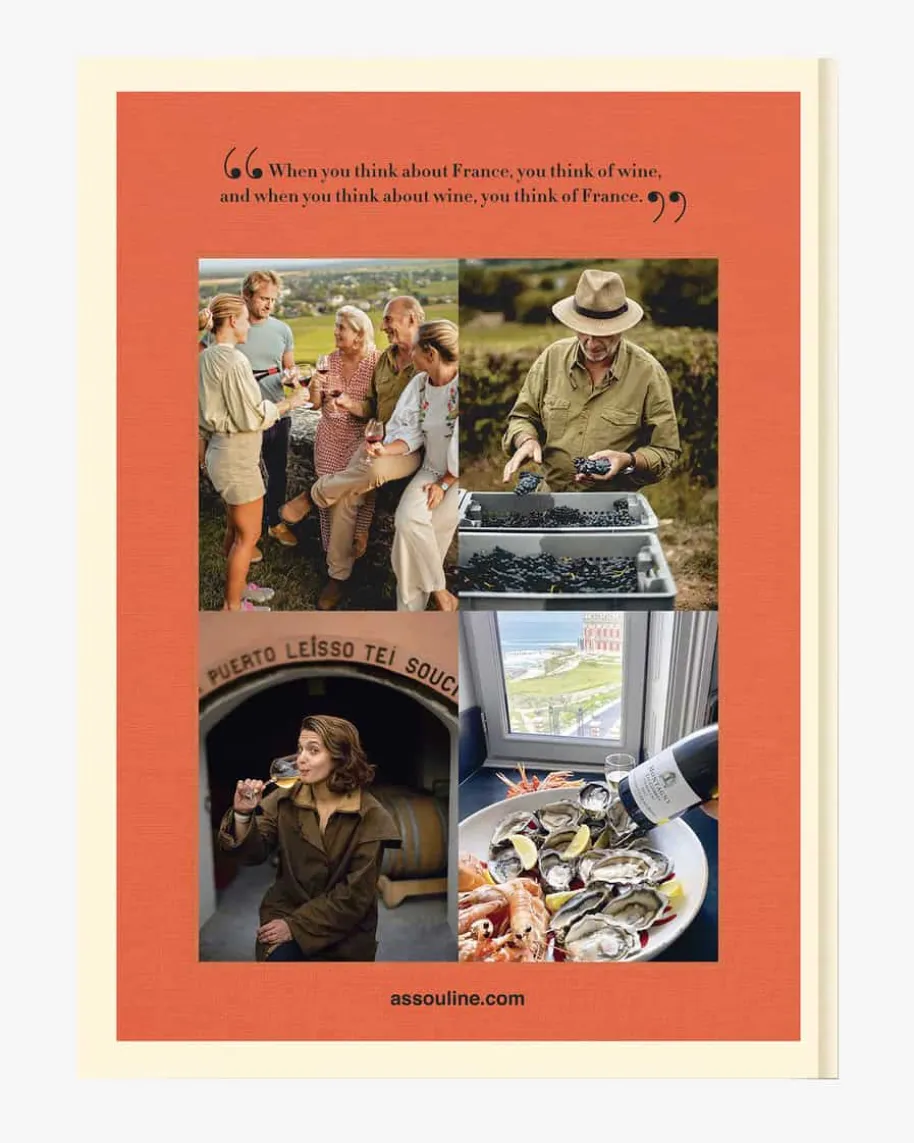 Wine & Travel France Buch